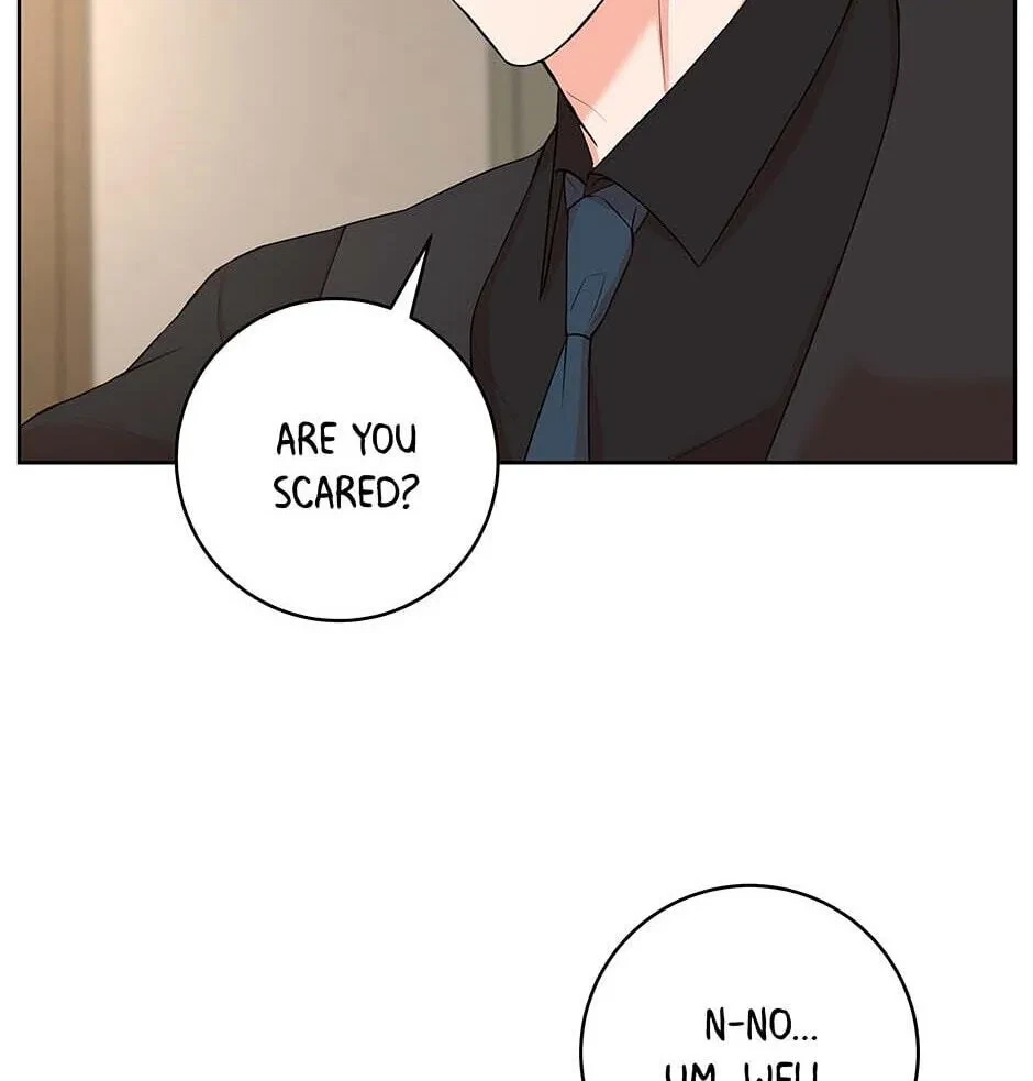 Chapter 3.1, page 36