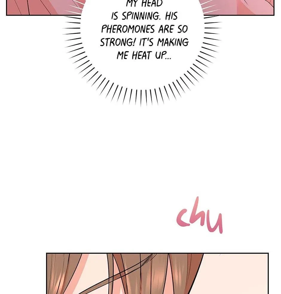 Chapter 3.1, page 38
