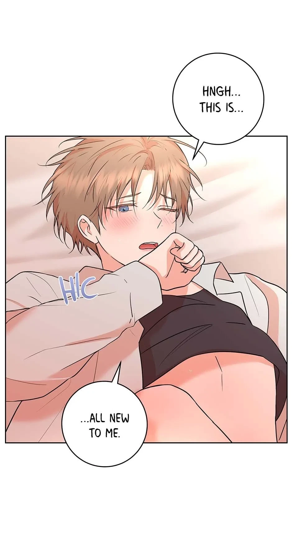 Chapter 3.1, page 47