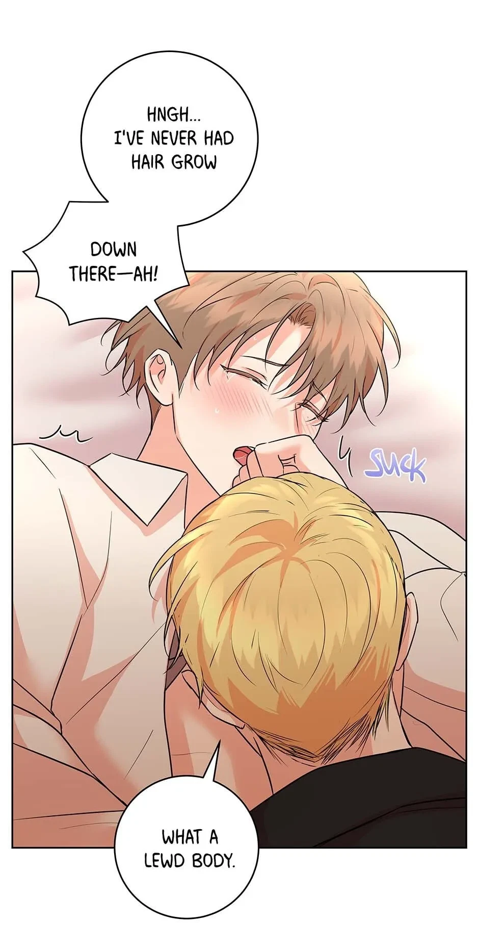 Chapter 3.1, page 59
