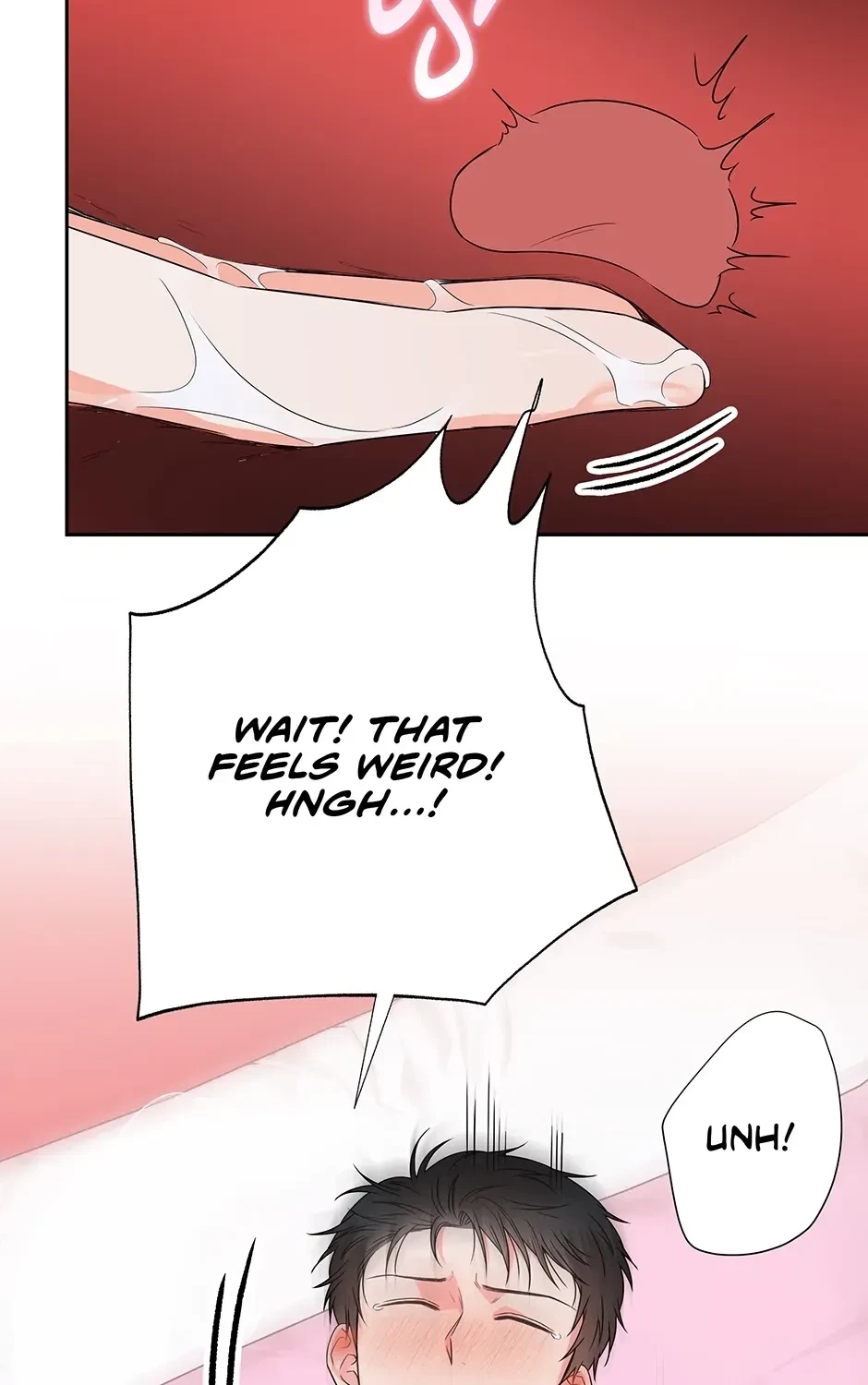 Chapter 2.1, page 48