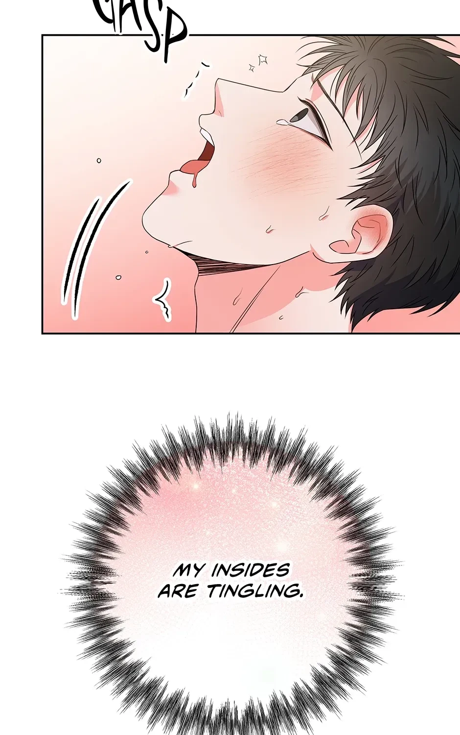 Chapter 2.1, page 52