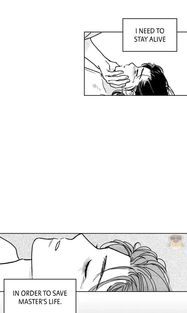 Bongchon Bride Chapter 76, page 44