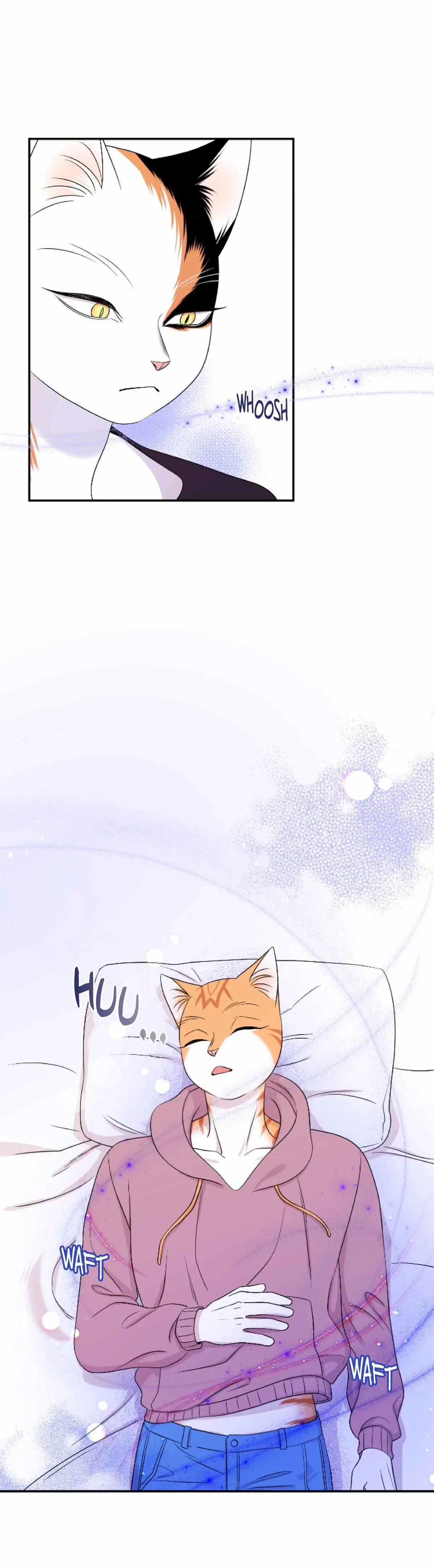 Chapter 14, page 17