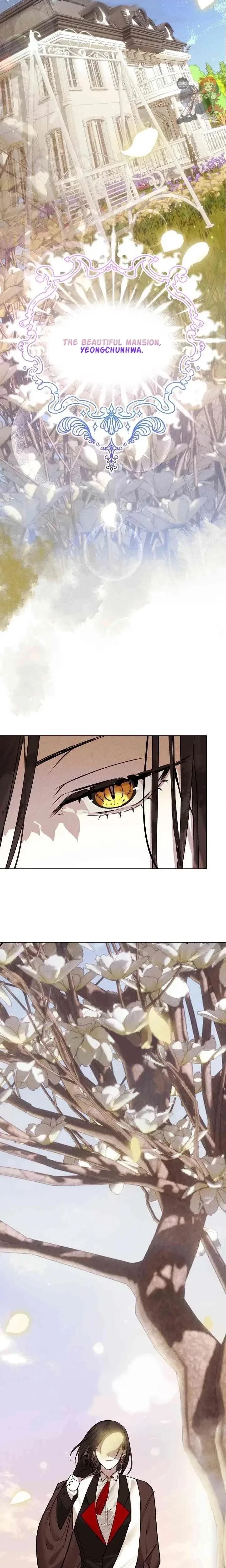 Chapter 0, page 4