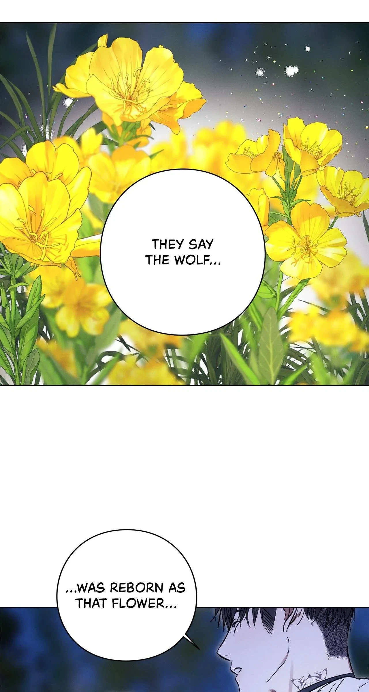 Chapter 10.1, page 13