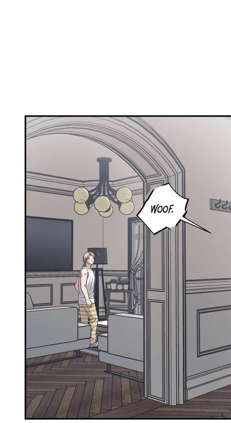 Chapter 17, page 111