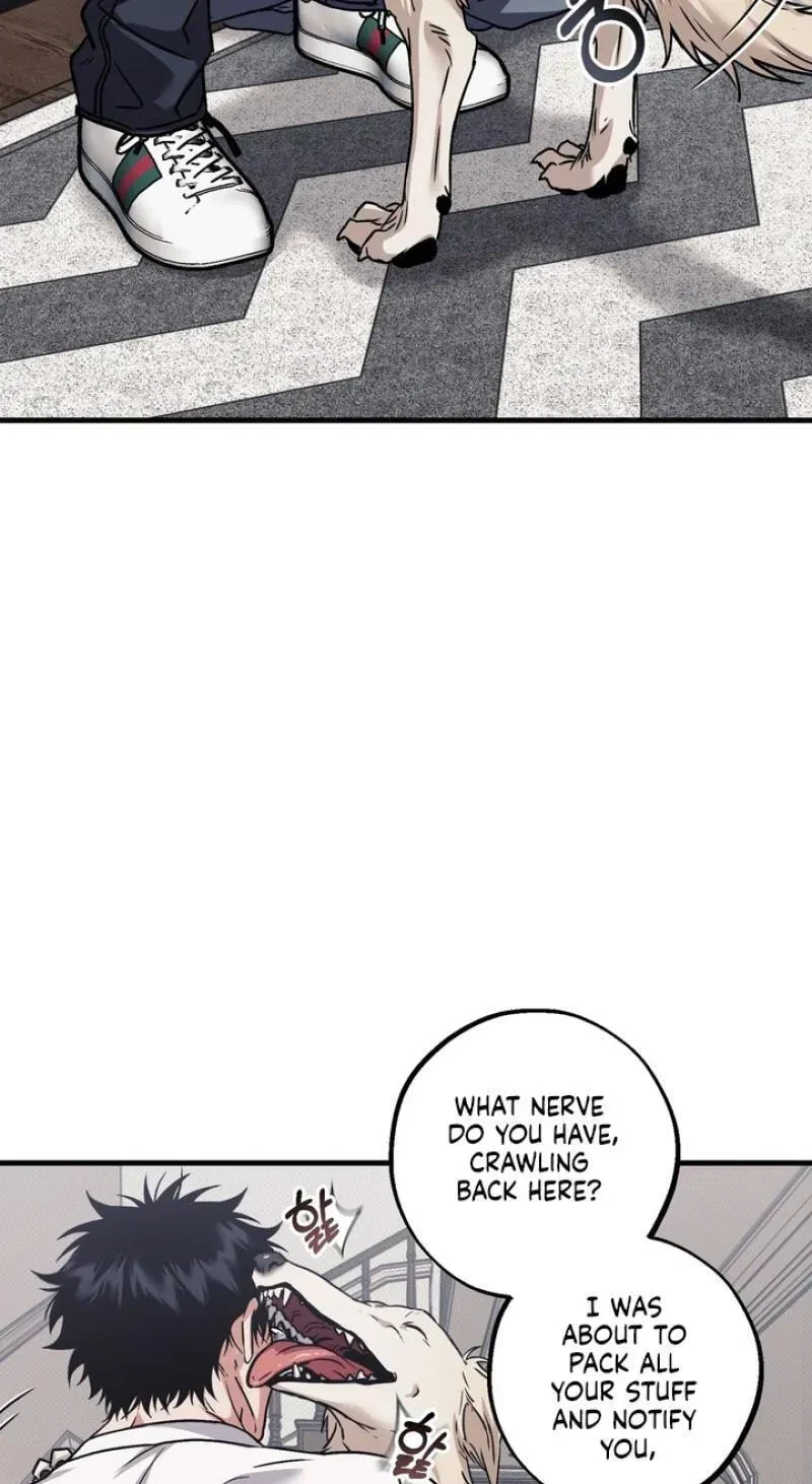 Chapter 17, page 113