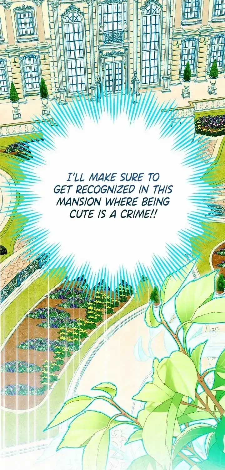 Chapter 3.1, page 71