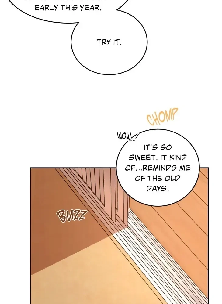 Our Sunny Days Chapter 86, page 50