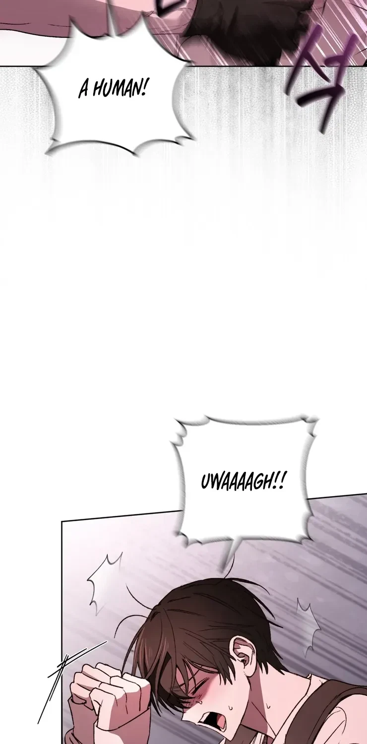 Chapter 2, page 17