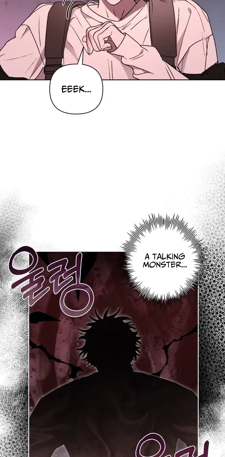 Chapter 2, page 19