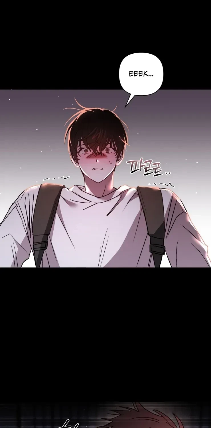 Chapter 2, page 49