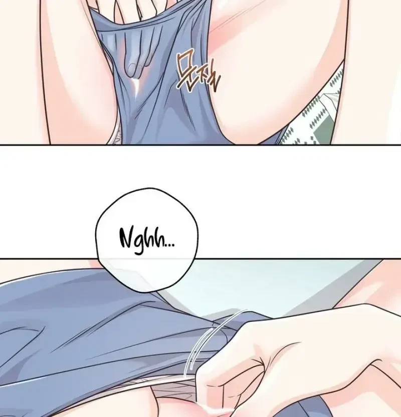 Chapter 1.1, page 48
