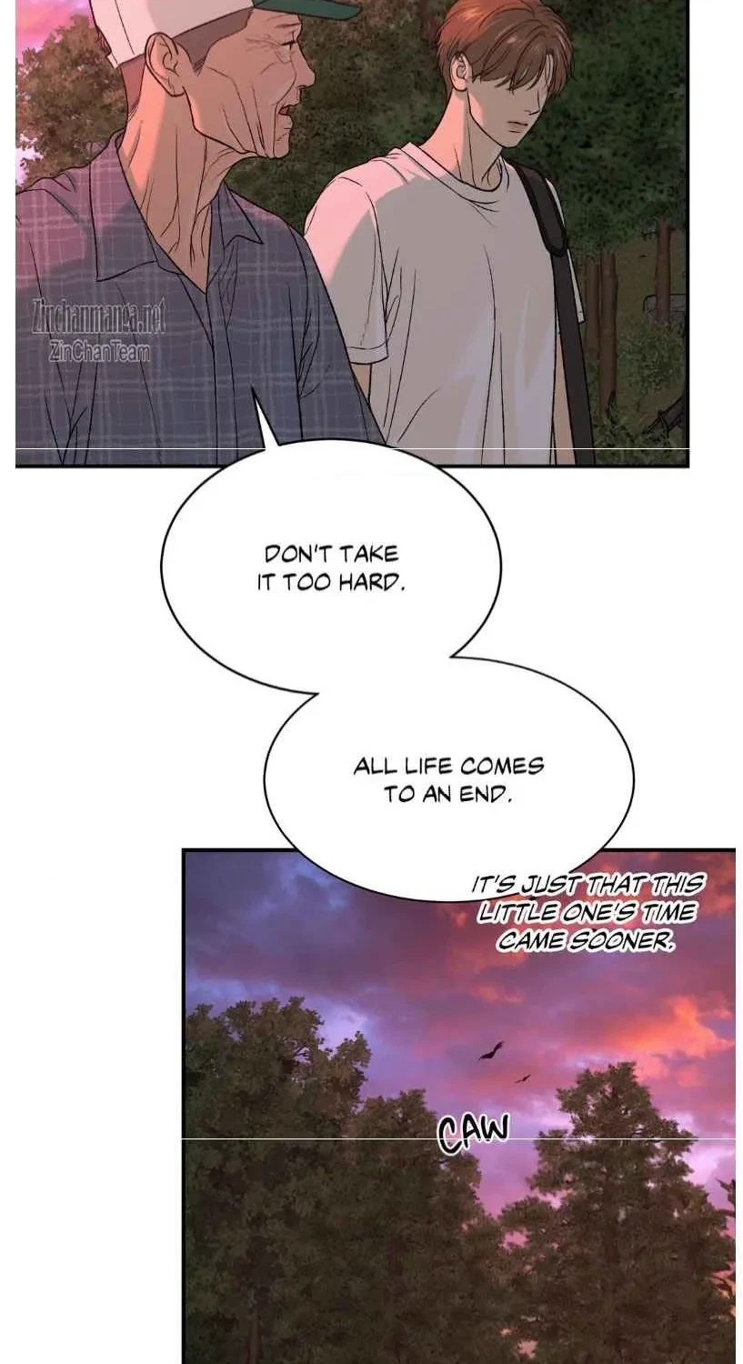 Chapter 62.5, page 19