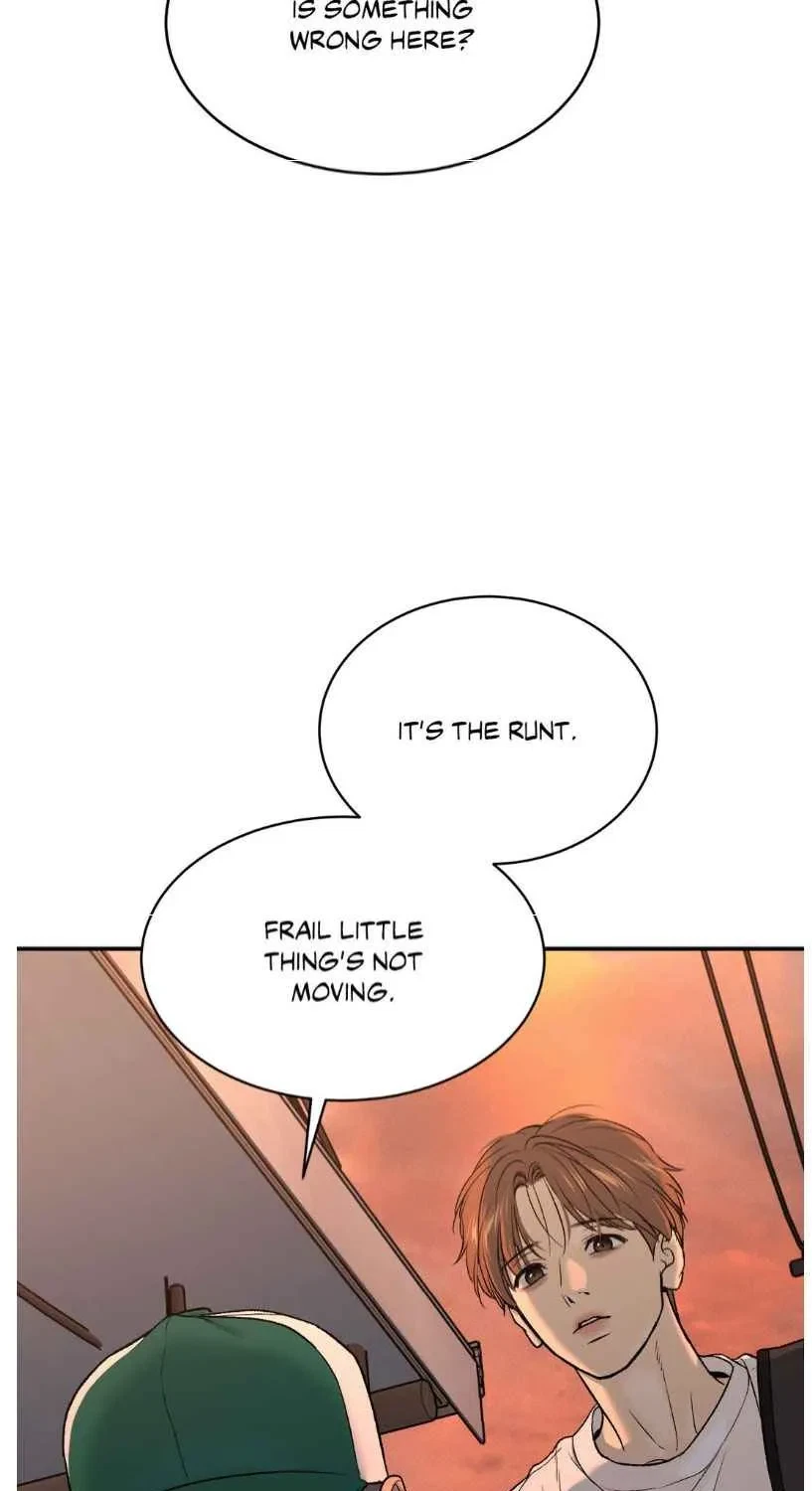 Chapter 62.5, page 6