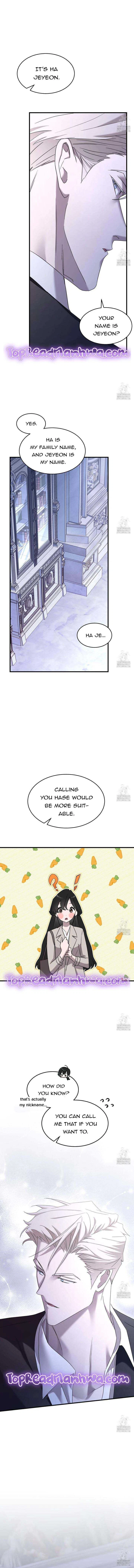 Chapter 3, page 17