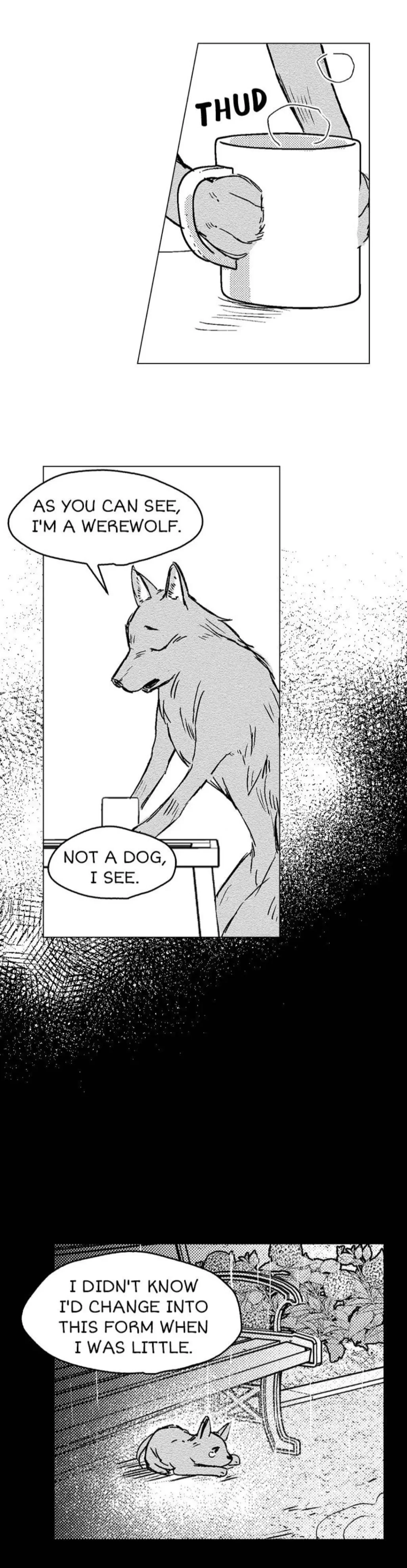 Chapter 3, page 11
