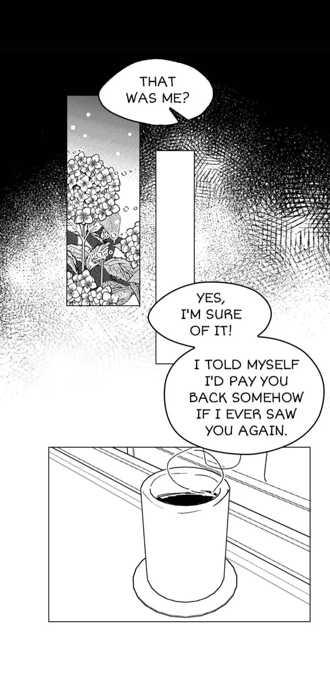 Chapter 3, page 14