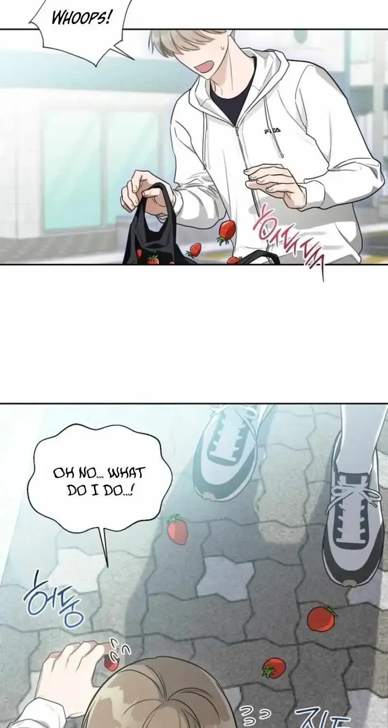 Chapter 1.1, page 52