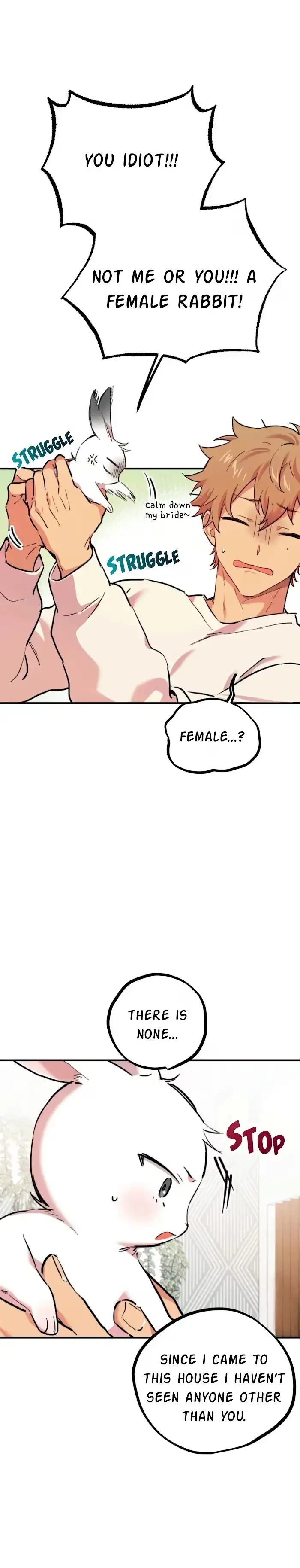 Chapter 3, page 10