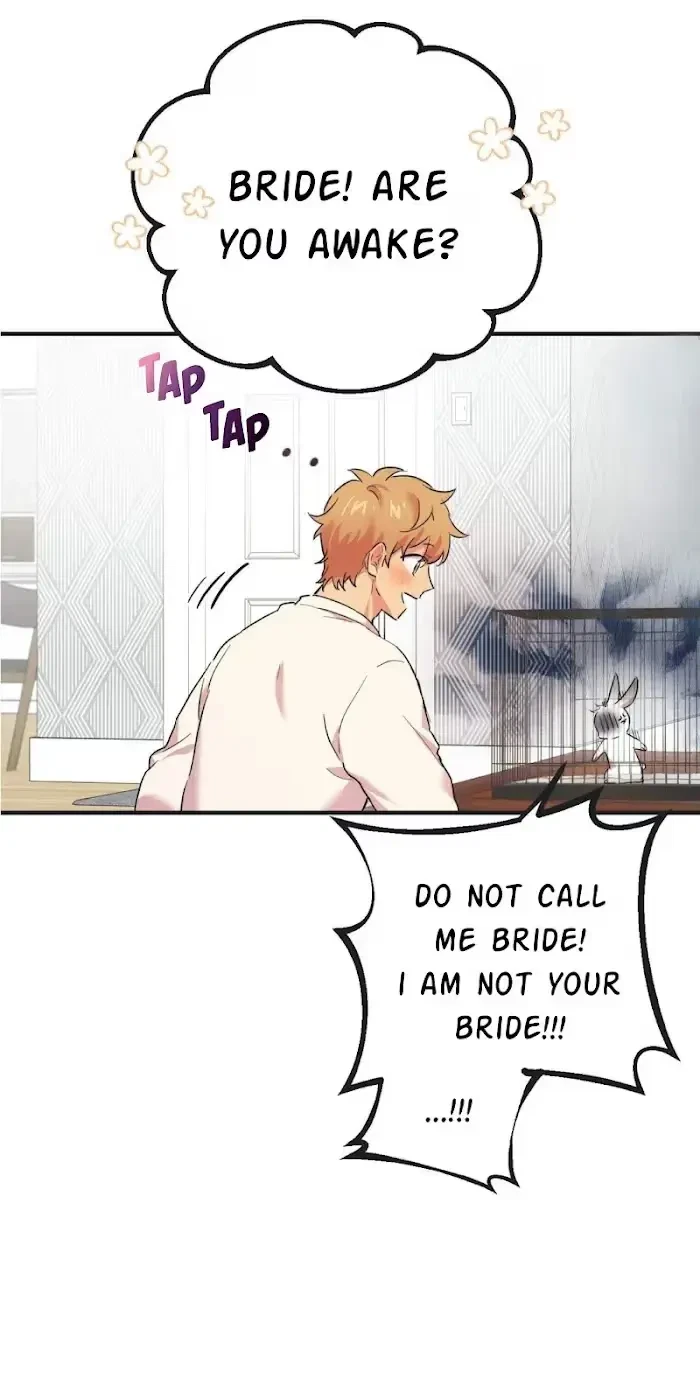 Chapter 3, page 3