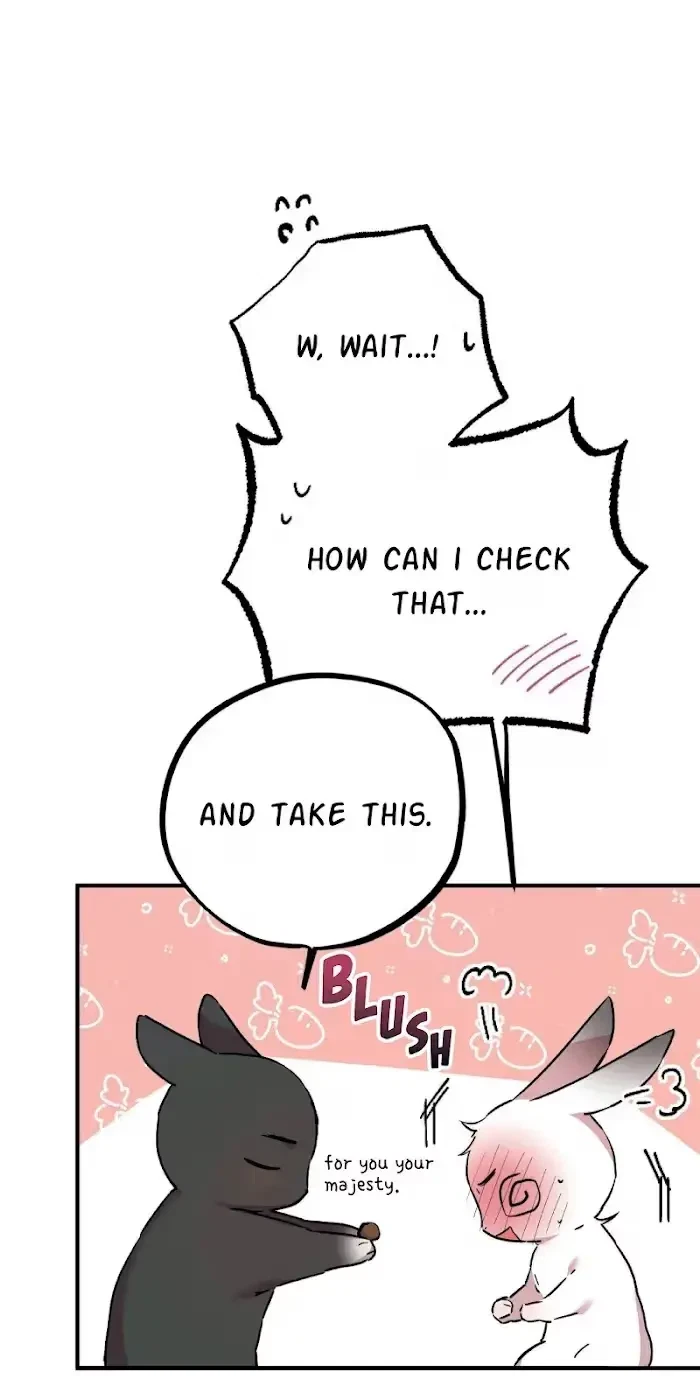 Chapter 3, page 47