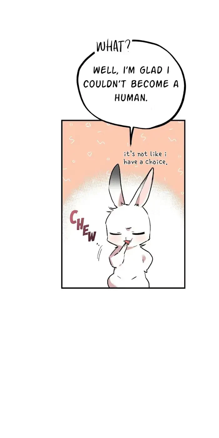 Chapter 3, page 49