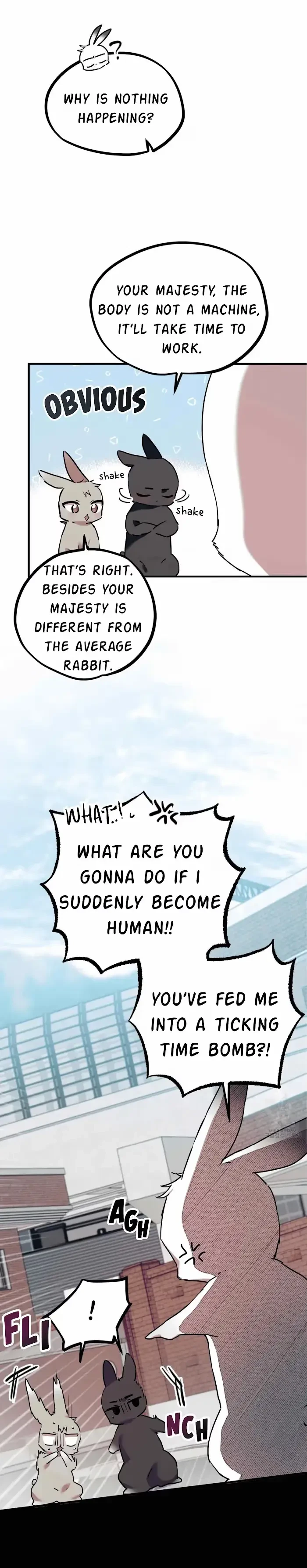 Chapter 3, page 51