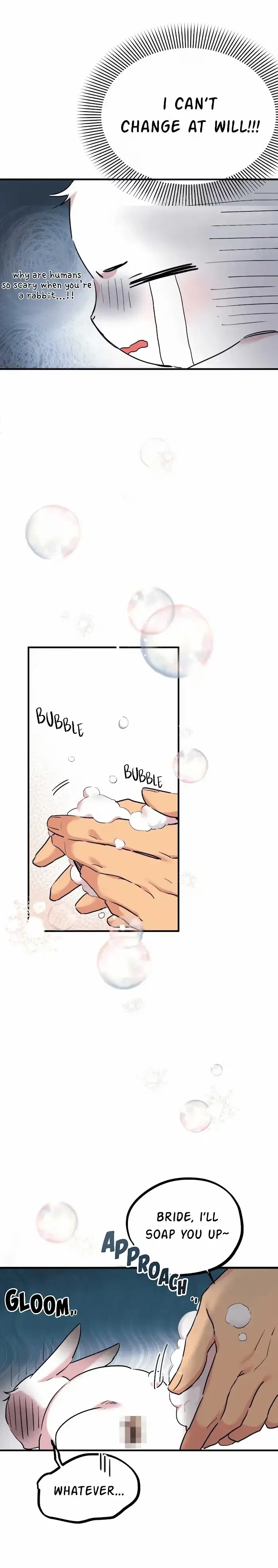 Chapter 3, page 61