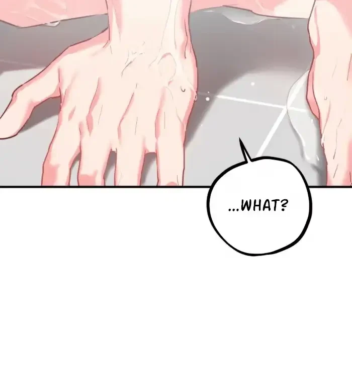 Chapter 3, page 66