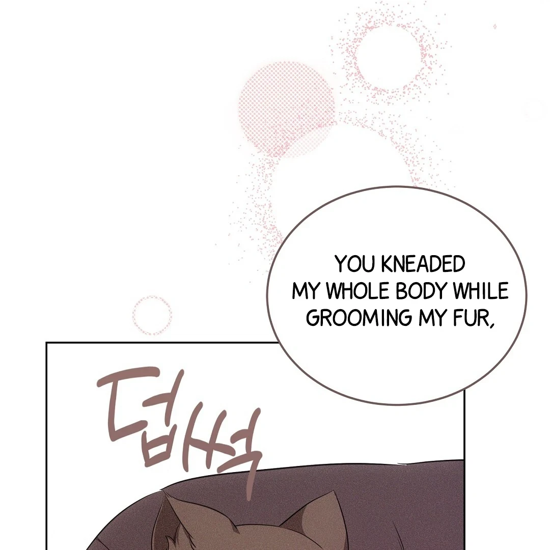 Chapter 6, page 68