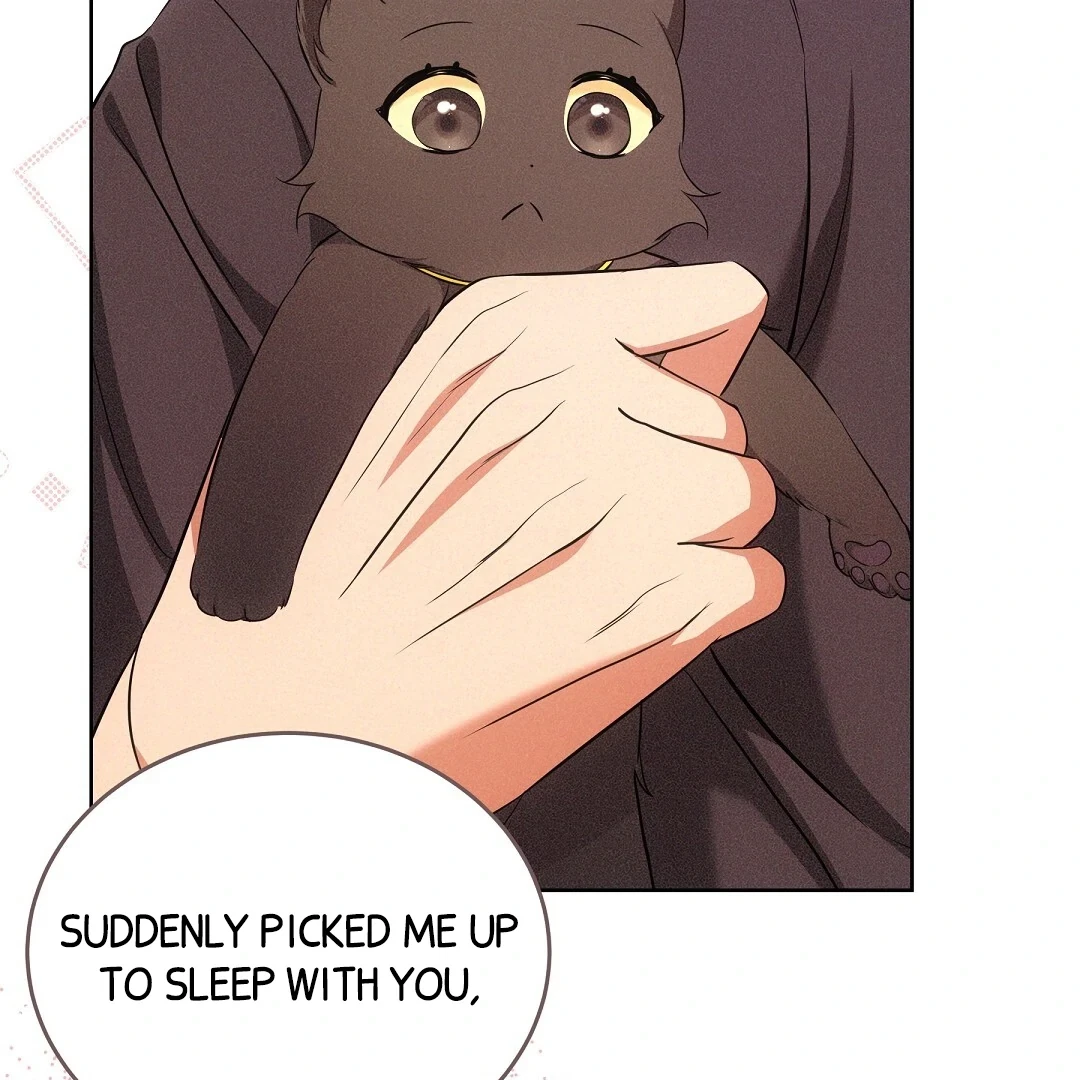Chapter 6, page 69