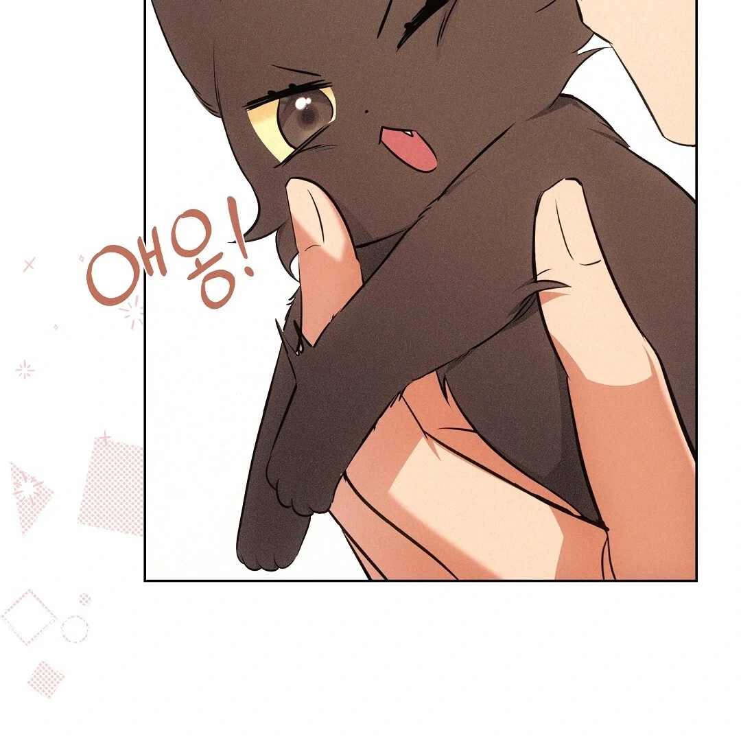 Chapter 6, page 71