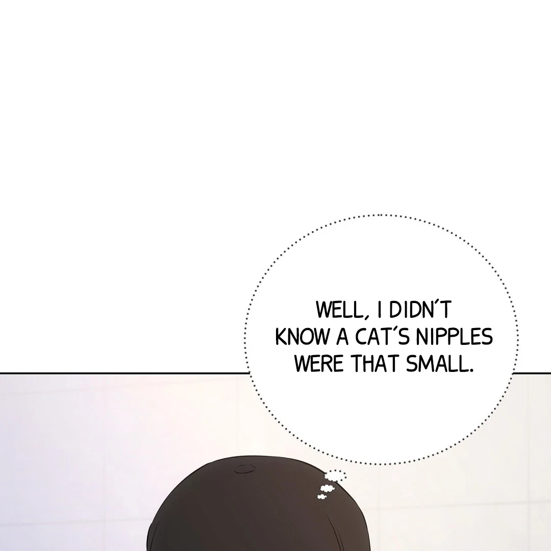 Chapter 6, page 76
