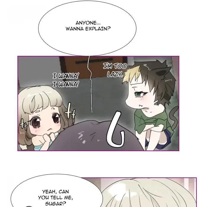 Chapter 2, page 41