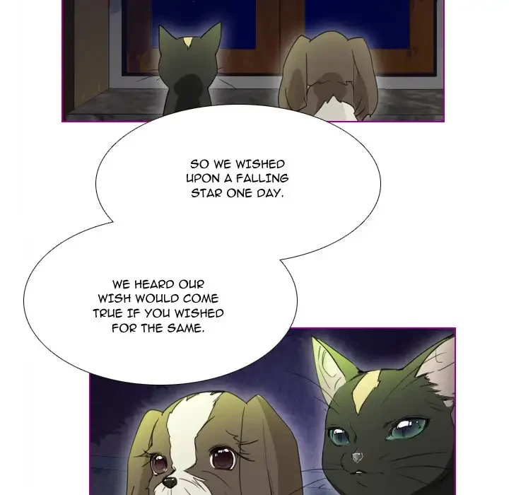 Chapter 2, page 43