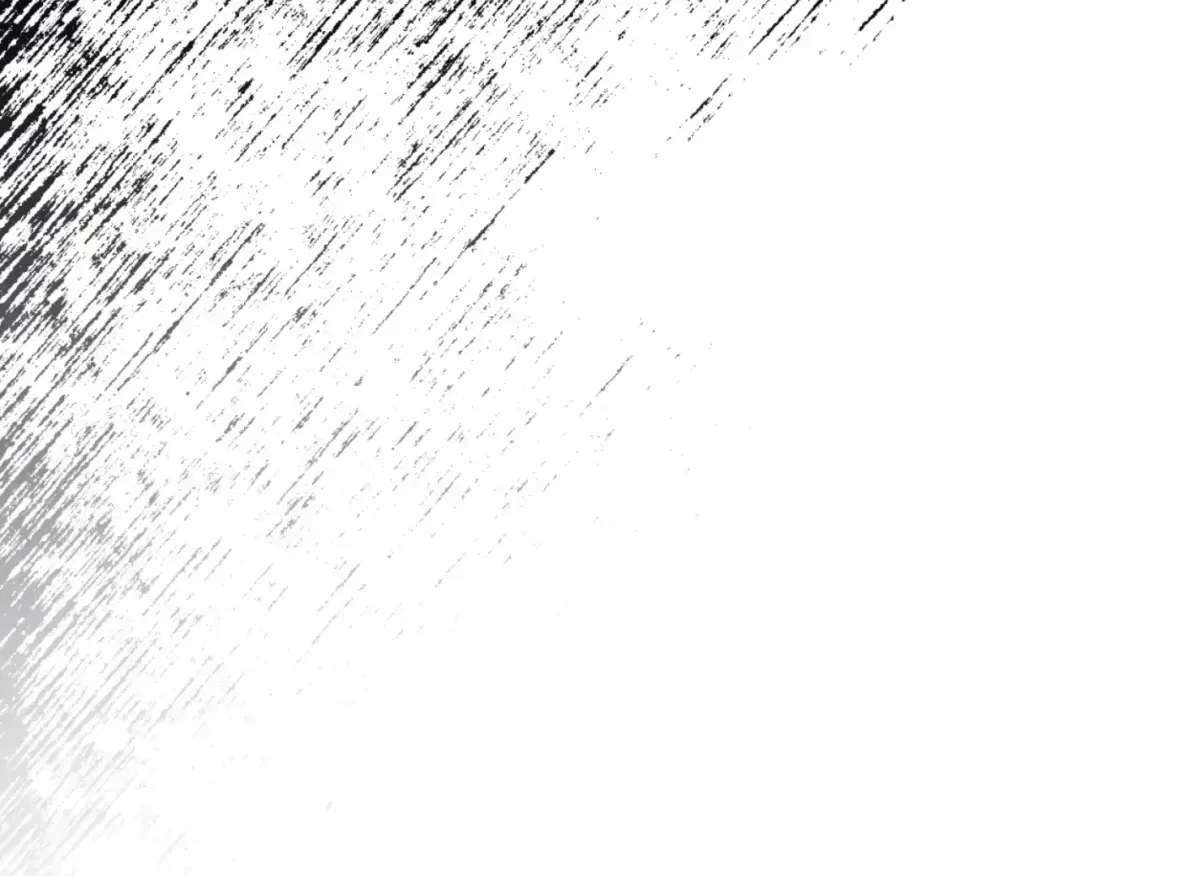 Chapter 31, page 220
