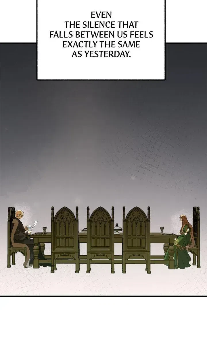 Chapter 1.1, page 13