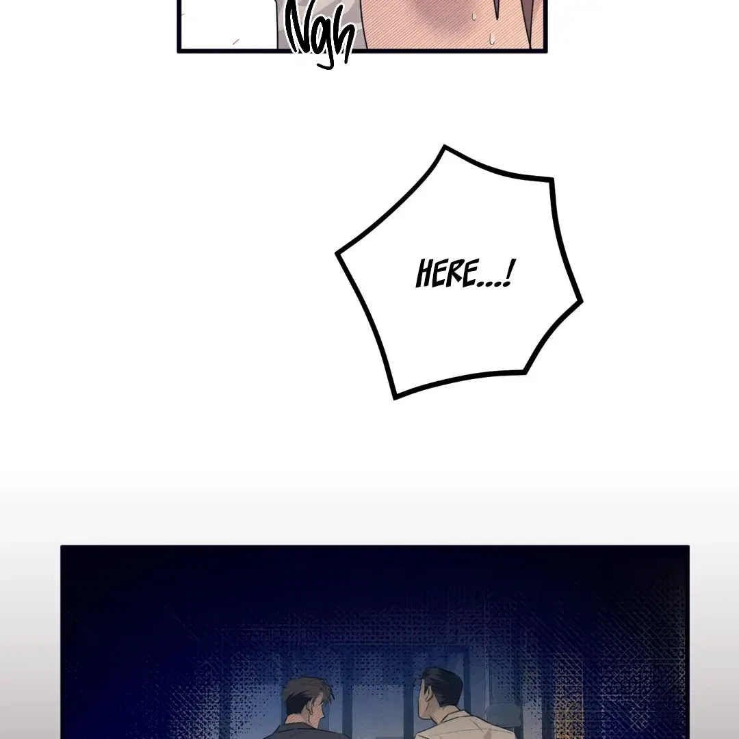 Chapter 2, page 71