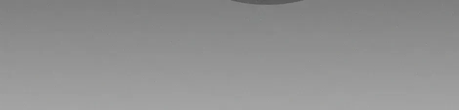 Chapter 29, page 11