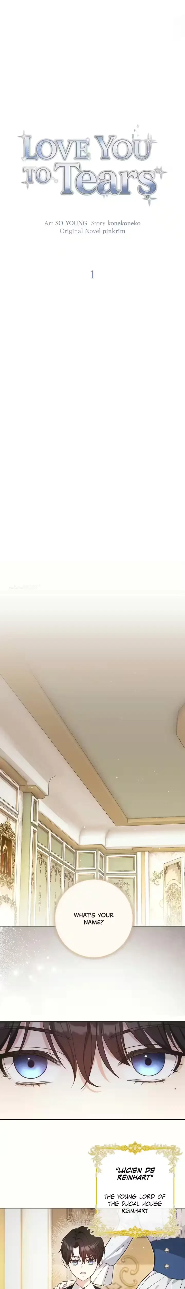 Chapter 1, page 13