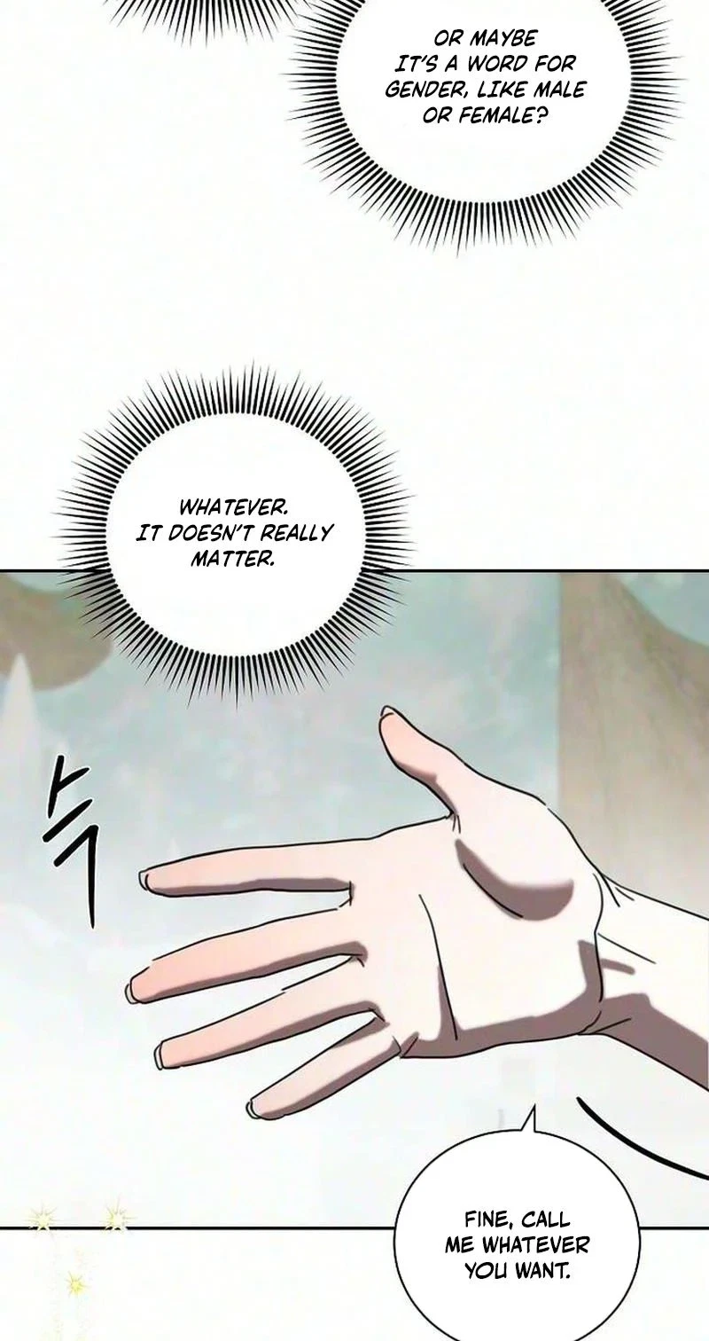 Chapter 3, page 44