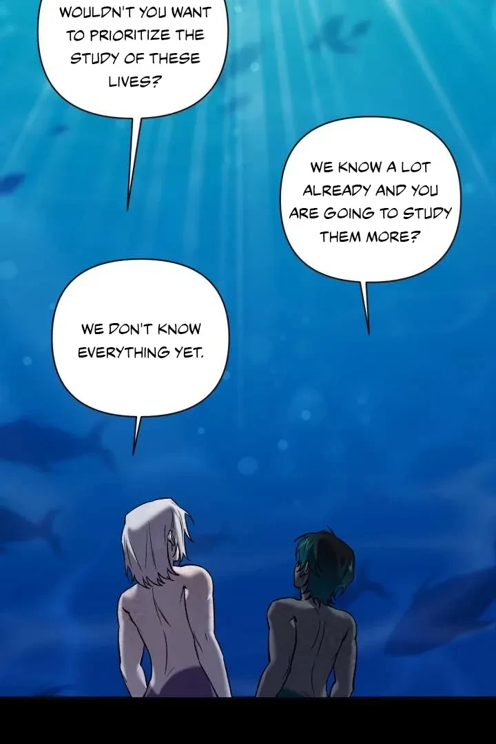Chapter 5, page 62