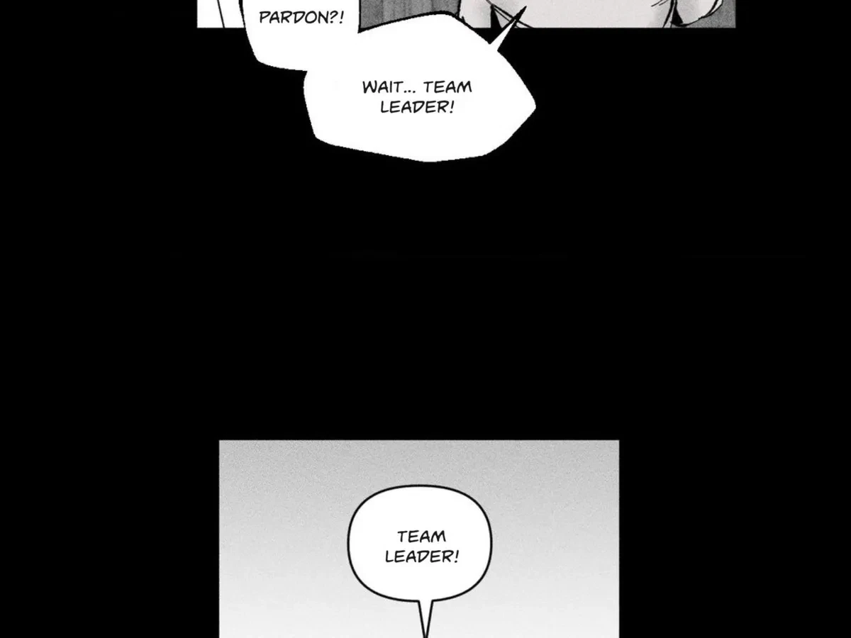 Chapter 4, page 66