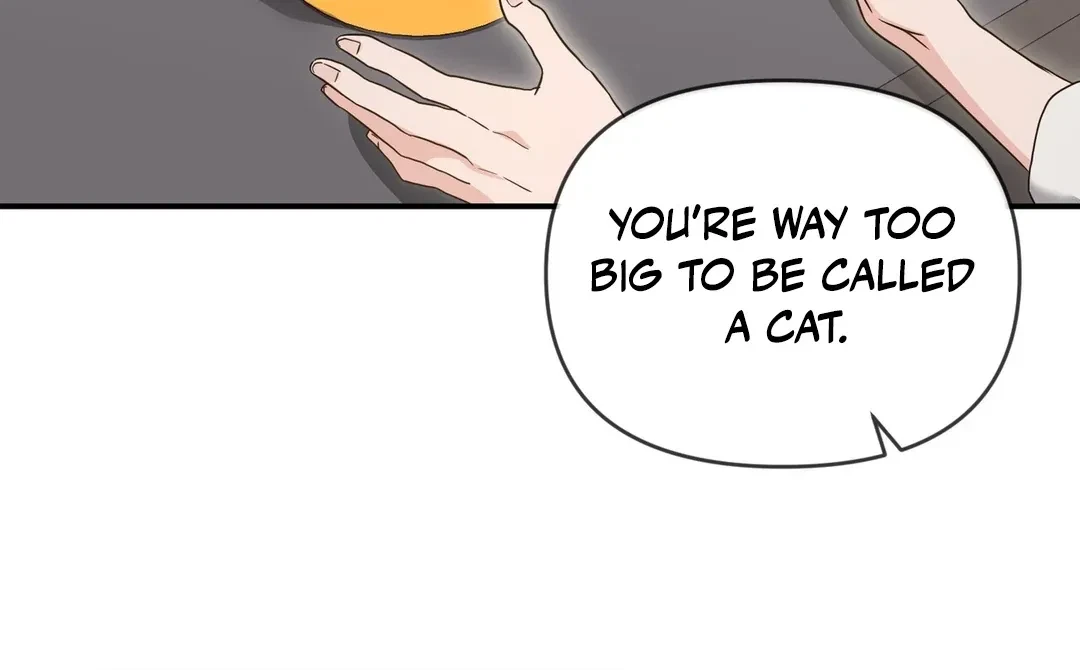 Chapter 5, page 55