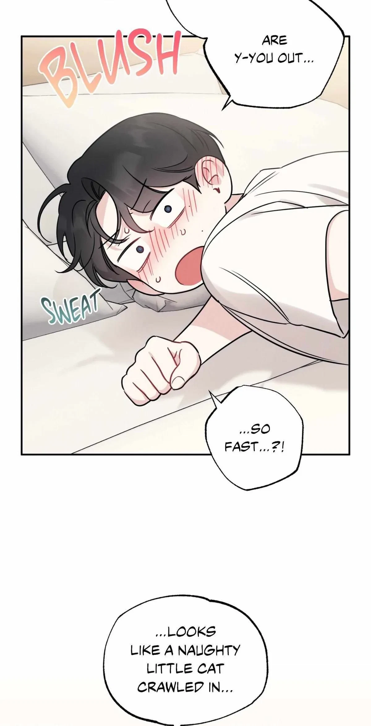 Side. : 3, page 29