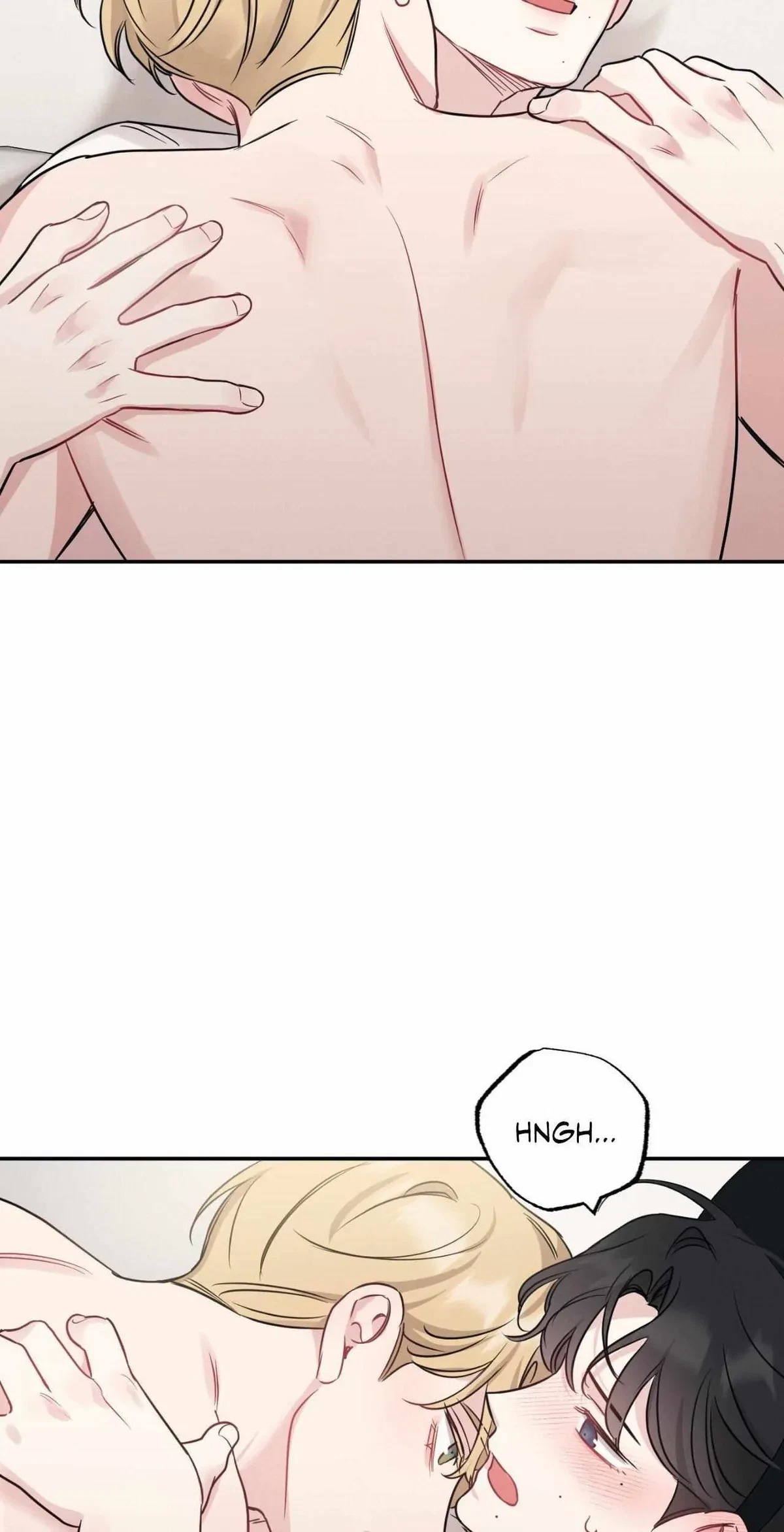 Side. : 3, page 43