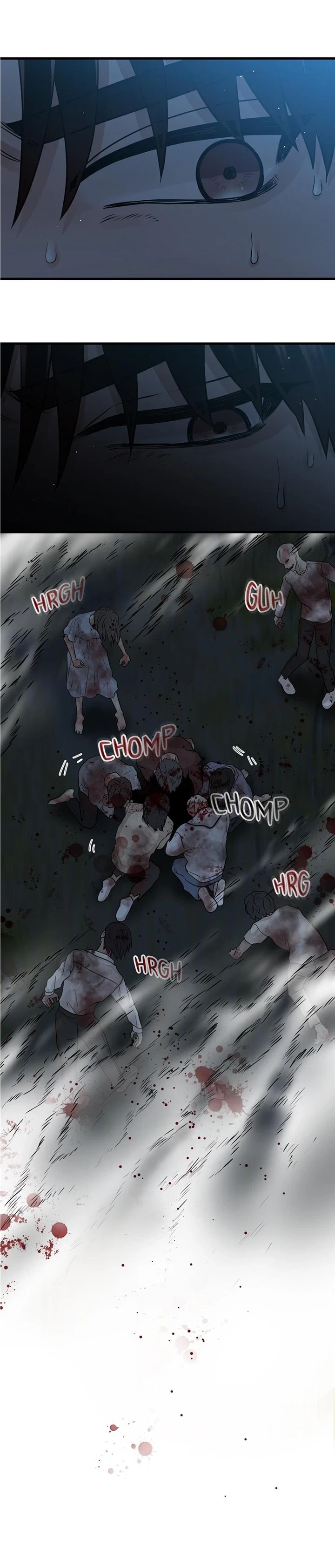 Chapter 22, page 17