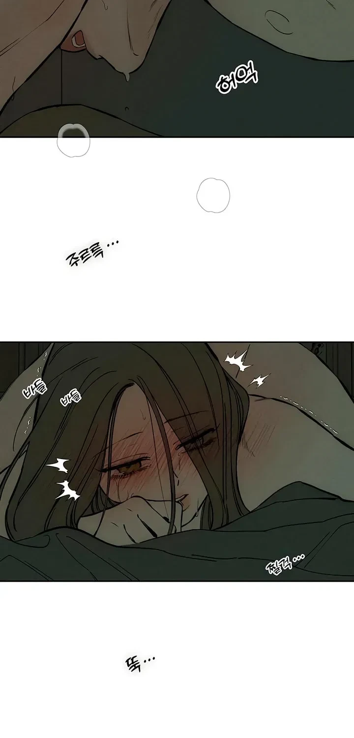 Chapter 49.5, page 62